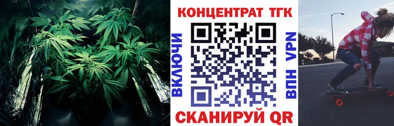 МЕГА как зайти  Чекалин  ТГК концентрат  продажа наркотиков 